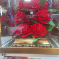 استخدام یک نفر خانم ویک نفر اقا