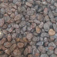 فروش کشمش پاک شده و تمیز ارگانیک