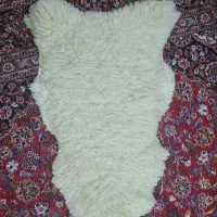 فرش پوست طبیعی|فرش|کرمان, |دیوار