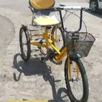 سه چرخه بزرگسالان