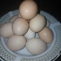 تخم مرغ خانگی