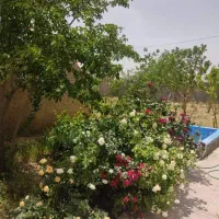فروش ویلا دربستی