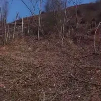 زمینی به مساحت2500متری دروستای کاشکی به فروش میرسد|فروش زمین و ملک کلنگی|سیاهکل, |دیوار