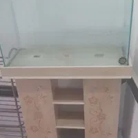 آکواریوم شیک و زیبا|ماهی|قروه, |دیوار