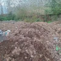 کود چرب کمپوست|خدمات باغبانی و درختکاری|بندر انزلی, چهارفریضه|دیوار