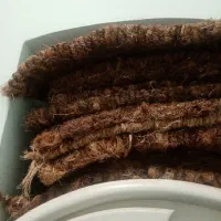 پادری|پادری|یزد, |دیوار