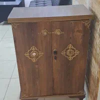 جاکفشی سالم