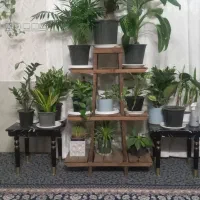 گل و پایه گل