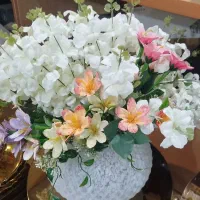 کادویی|ظروف سرو و پذیرایی|فولادشهر, A2|دیوار