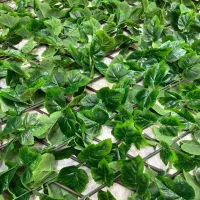 چمن وارداتی و فنس با قیمت کارخانه|مصالح و تجهیزات ساختمان|اهواز, کوی ملی راه|دیوار