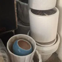 گلدان