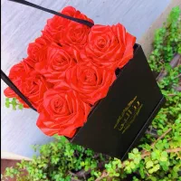 گل روبانی|گل مصنوعی|بندر گناوه, |دیوار