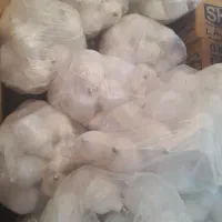 فرصتی برای تو|لامپ و چراغ|کرمان, |دیوار