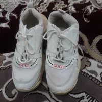 کفش اسپورت|کیف، کفش، کمربند|دورود, |دیوار