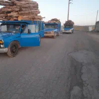 خرید چوب با بالاترین قیمت تسویه سر باسکول