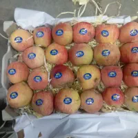 سیب دورج قرمز ریز قالب|خوردنی و آشامیدنی|میاندوآب, |دیوار