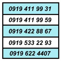 0919.399.699.1|سیم‌کارت|تهران, تهرانسر شمالی|دیوار