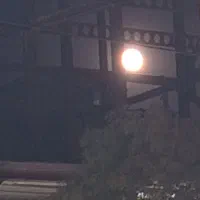 مغازه فروشی در خیابان انقلاب  کنار شیشه بری حجت