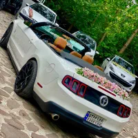 اجاره فورد موستانگ کروک|خدمات پذیرایی، مراسم|رشت, استقامت ۱|دیوار