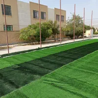 چمن مصنوعی فوتبالی(ویژه مدارس)|مصالح و تجهیزات ساختمان|یزد, |دیوار