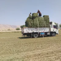 پرس یونجه بهبهان