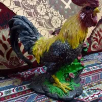 دکوری