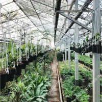 استخدام نگهبان شب