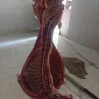 قصاب در محل شما