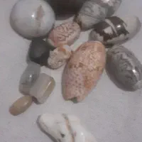 چند سدف  کلکسیونی یک سنگ آسیاب وچند مهره قدیمی