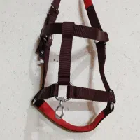 یه عدد کلگی اسب