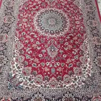 فرش سرمه ای و کرم|فرش|شاهرود, |دیوار