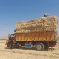 فروش و ارسال کاه گندم دیم کلش گندم دیم|لوازم جانبی حیوانات|خمینیشهر, |دیوار