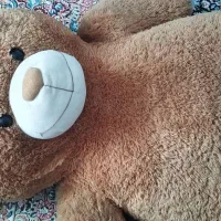 عروسک بزرگ سالم