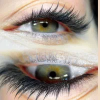 آموزش تخصصی‌مژه مسیررسیدن‌به‌ درآمدبالا