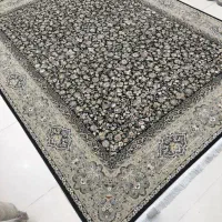 دوتخته فرش 12متری 1200شانه پاتریس دودی