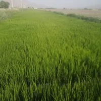 راهنمایی کنید۰سرمایه۰۰راه اندازی کار