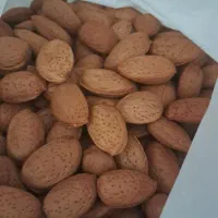 بادام درختی