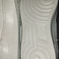 کفش نو نو|کیف، کفش، کمربند|کرمان, |دیوار