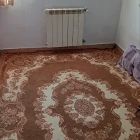 ۷۲متر،تکخواب،تکواحد ،فول|اجارهٔ آپارتمان|تهران, شکیبا|دیوار