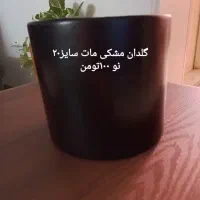 گلدان