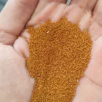 فروش خاکشیر