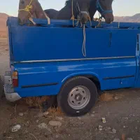 خریدوفروش اسب|اسب و تجهیزات اسب‌سواری|خاوه, |دیوار