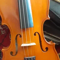 ویالون استیودنت کاملا نو|ویولن|تهران, افسریه شمالی|دیوار