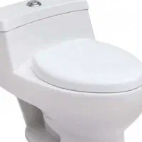 توالت فرنگی درحدنو