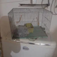 قفس پرنده ۲۰۰