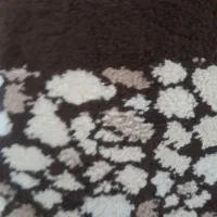 سالم وتمیز|فرش|ارومیه, |دیوار