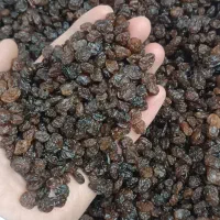 کشمش پلویی با قیمت مناسب