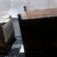 صندوق قدیمی|صنایع دستی و سایر لوازم تزئینی|رشت, فرزانه|دیوار