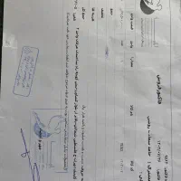 کمربنده دیسک کمر|پزشکی|بهارستان, |دیوار