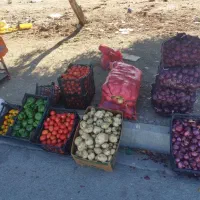 میوه وتر بار  قیمت شکن|عمده‌فروشی|اندیکا, |دیوار